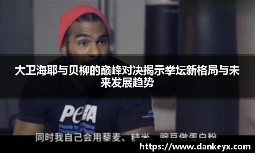 大卫海耶与贝柳的巅峰对决揭示拳坛新格局与未来发展趋势